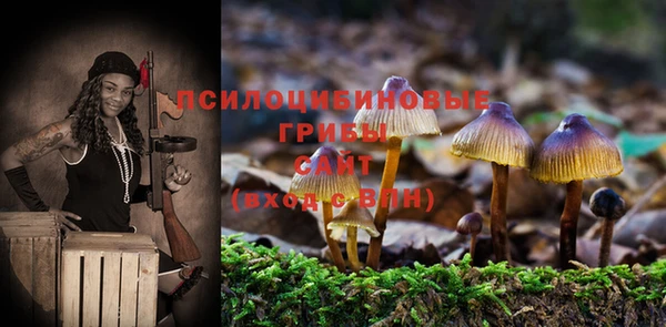 твердый Касимов
